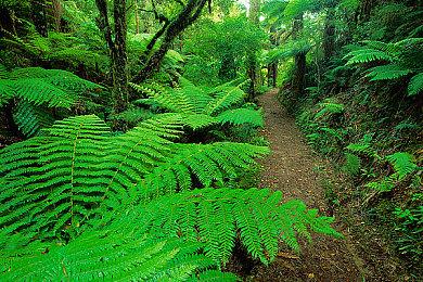 《大头盔英雄》Steam页面上线 支持简繁体中文